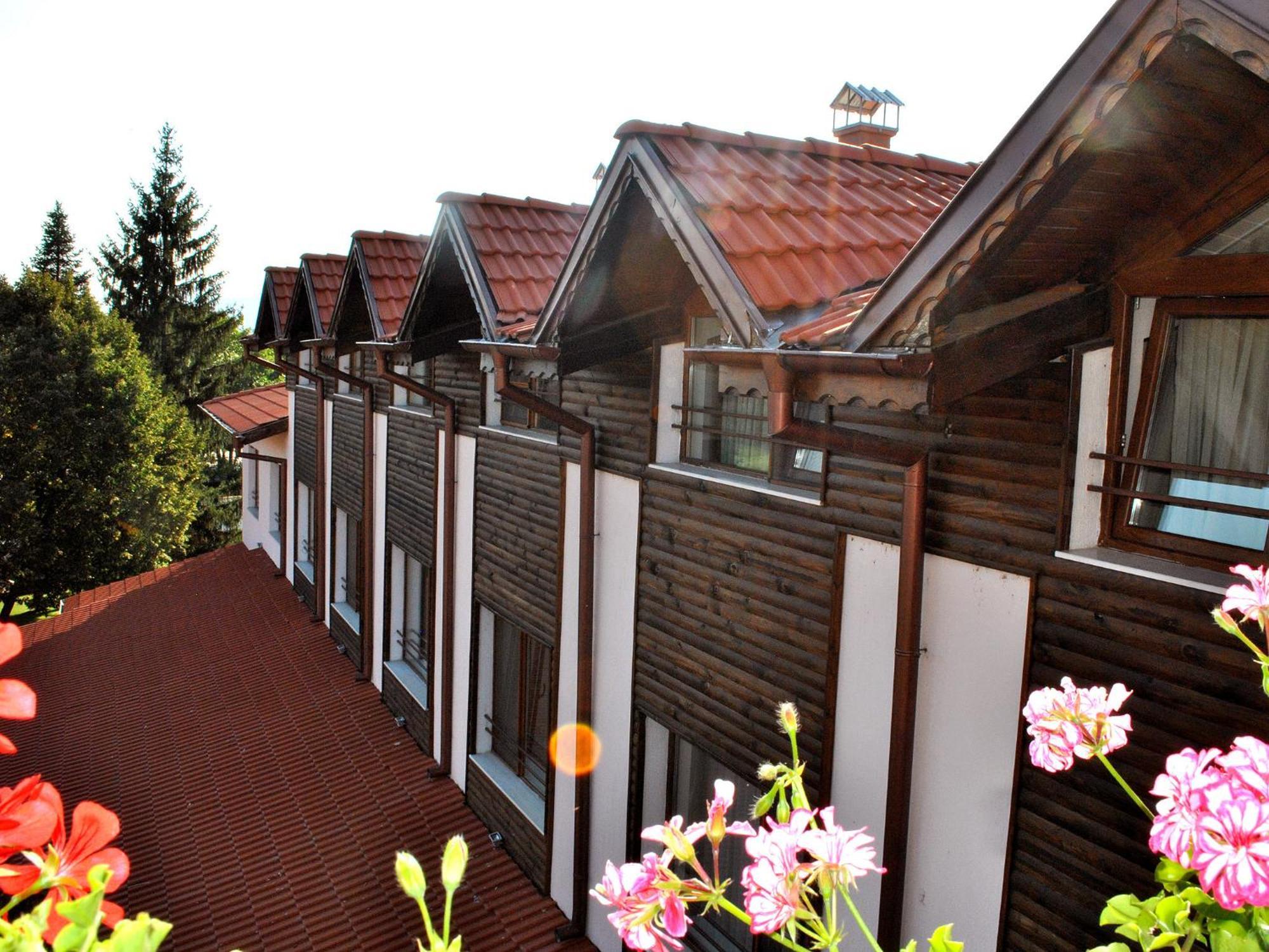 Spa Hotel Ivelia Dubnitsa Cameră foto